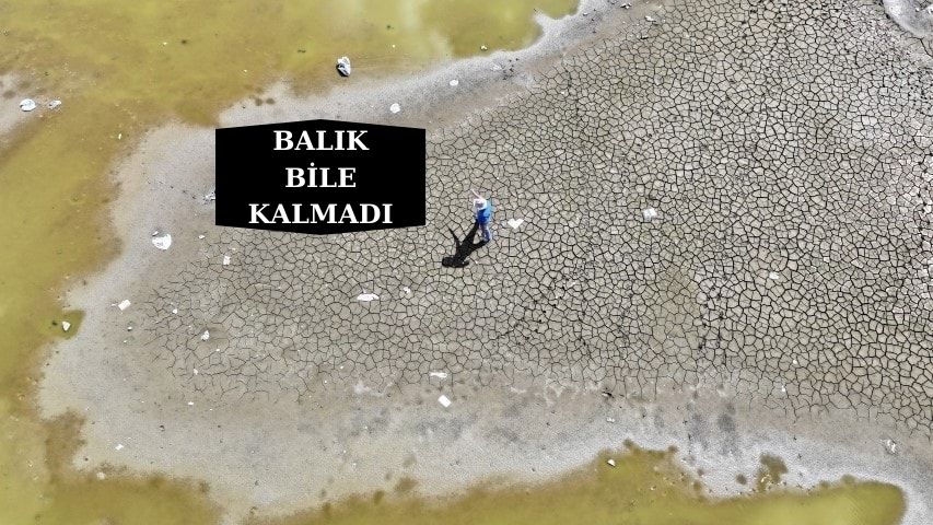 Tekir Göleti yok oluyor…